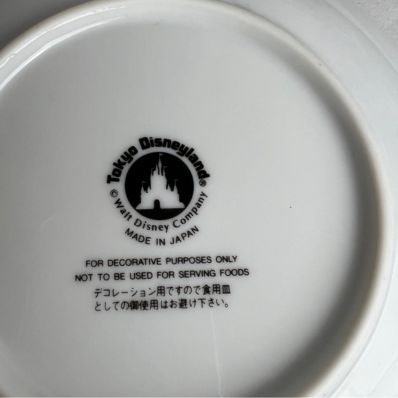 Tokyo Disneyland Decorative Plate Critter Country Splash Mountain Brer Fox - Picture 4 of 5